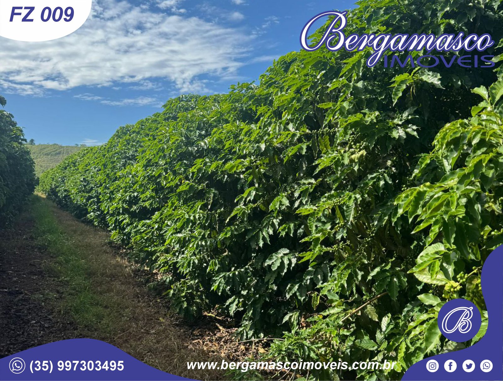 Fazenda em Piumhi/MG