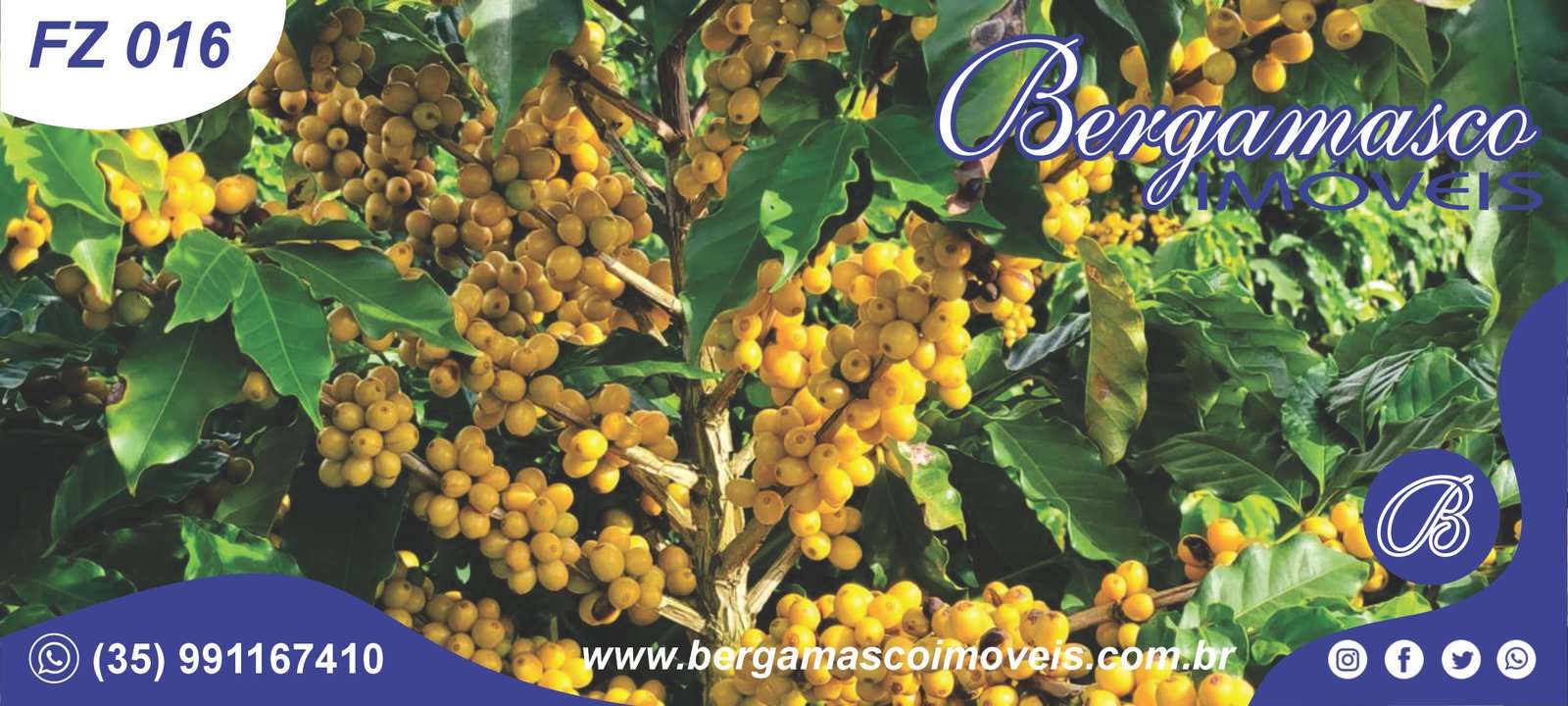 Fazenda no município de Coqueiral/MG